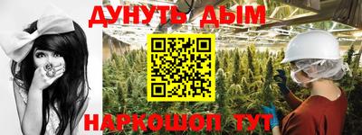 mdpv Кингисепп