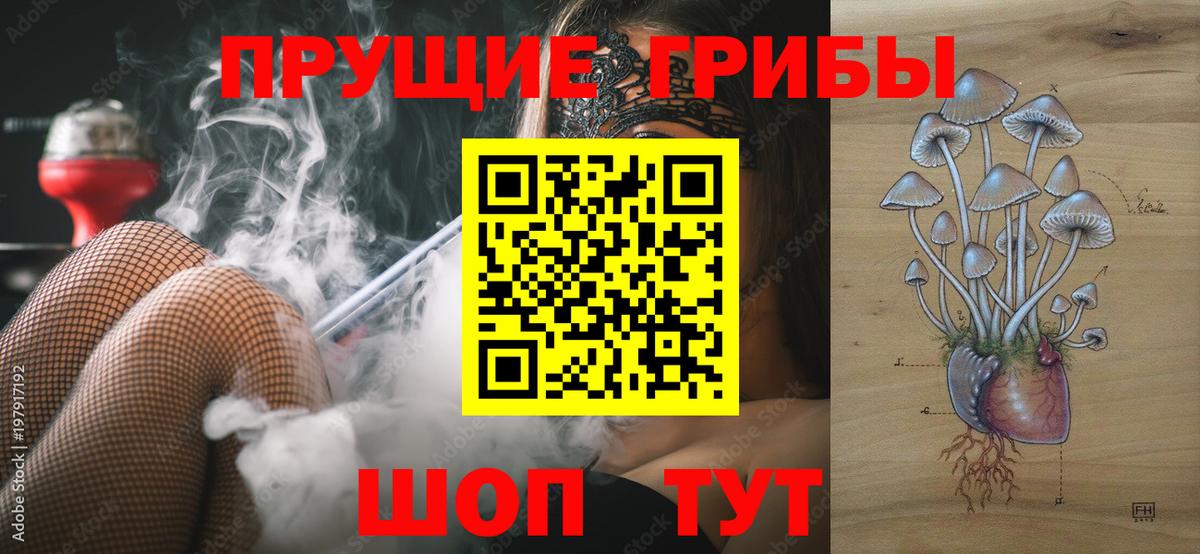 продажа наркотиков  Псилоцибиновые грибы мухоморы  Вход с VPN  Красногорск 